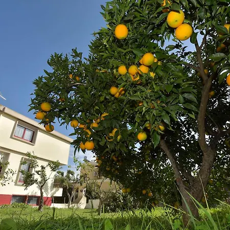 Isola Bella - Bianconero Apartament Mogoro
